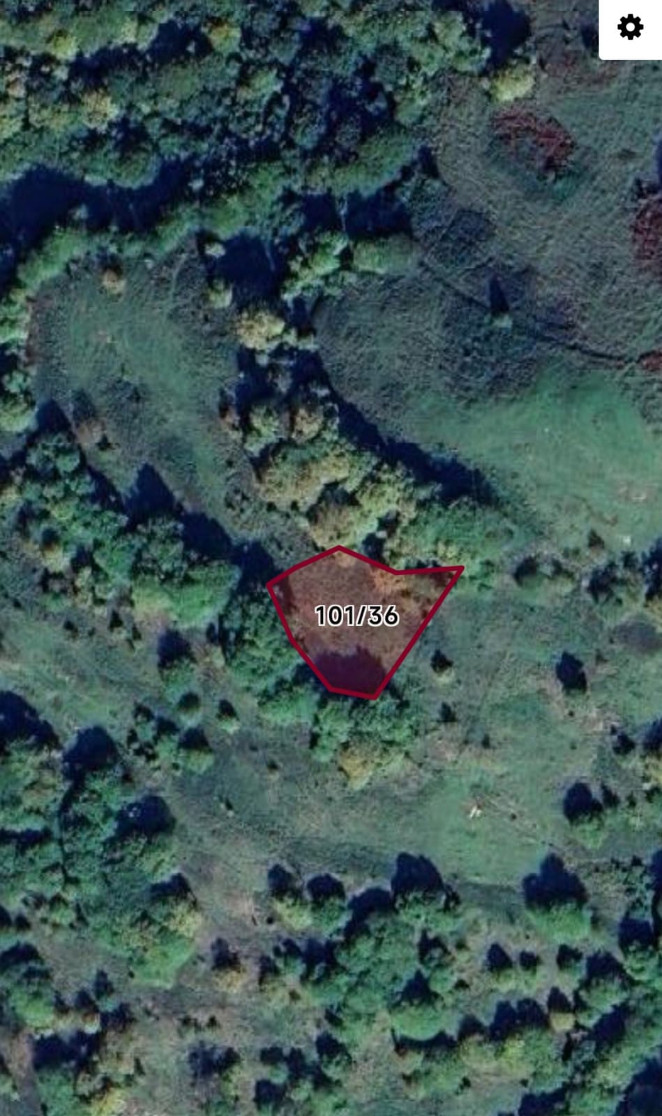 Fotoğraf